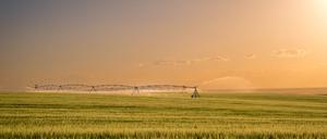 Bewässerung in den USA – mehr Wasser verbraucht, als der Regen nachliefert.