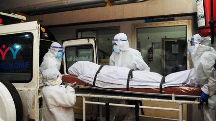 Eine Infektion mit dem Nipah-Virus führt zu grippeähnlichen Symptomen mit hohem Fieber, Gehirnentzündungen und Koma.