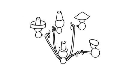 VSD Illu