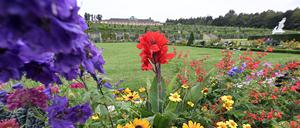 Potsdam, 29.08.2023 / Lokales / Park Sanssouci, Schloss Sanssouci, Blumen, Wetter, Stadtbilder, Symbolfoto, Foto: Ottmar Winter PNN ACHTUNG: Foto ist ausschließlich für redaktionelle Berichterstattung der PNN und des TGSP! Eine kommerzielle Nutzung, z.B. Werbung, ist ausgeschlossen. Die Weitergabe an nicht autorisierte Dritte, insbesondere eine weitergehende Vermarktung über Bilddatenbanken, ist unzulässig.