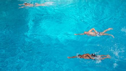 Drei Schwimmer ziehen ihre Bahnen im Sommerbad Pankow. 