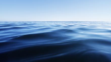 Bei zu warmem Wasser an der Oberfläche ziehen sich Meereslebewesen in tiefere, kühlere Schichten zurück. Hitzewellen könnten ihnen den Weg versperren.