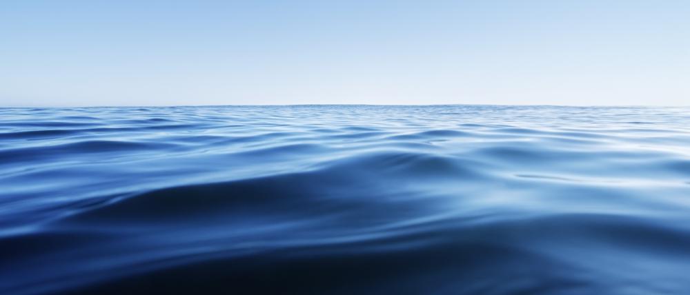 Bei zu warmem Wasser an der Oberfläche ziehen sich Meereslebewesen in tiefere, kühlere Schichten zurück. Hitzewellen könnten ihnen den Weg versperren.