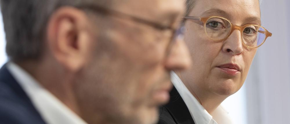 FPÖ-Chef Herbert Kickl und AfD-Covorsitzende Alice Weidel während ihrer Pressekonferenz in Wien am 19. September 2023. 