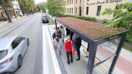 Die Stadt Teltow hat 21 Bushaltestellen begrünt, die
Bushaltestellen mit begrünten Dächern sollen die Stadt kühler machen, Insekten Lebensraum bieten und Feinstaub binden.