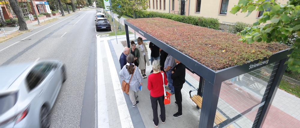 Die Stadt Teltow hat 21 Bushaltestellen begrünt, die
Bushaltestellen mit begrünten Dächern sollen die Stadt kühler machen, Insekten Lebensraum bieten und Feinstaub binden.