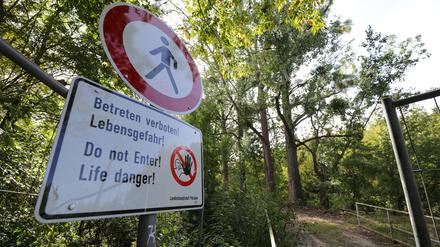 Naturschützer wollen die Baumfällungen an der Nuthe verhindern.