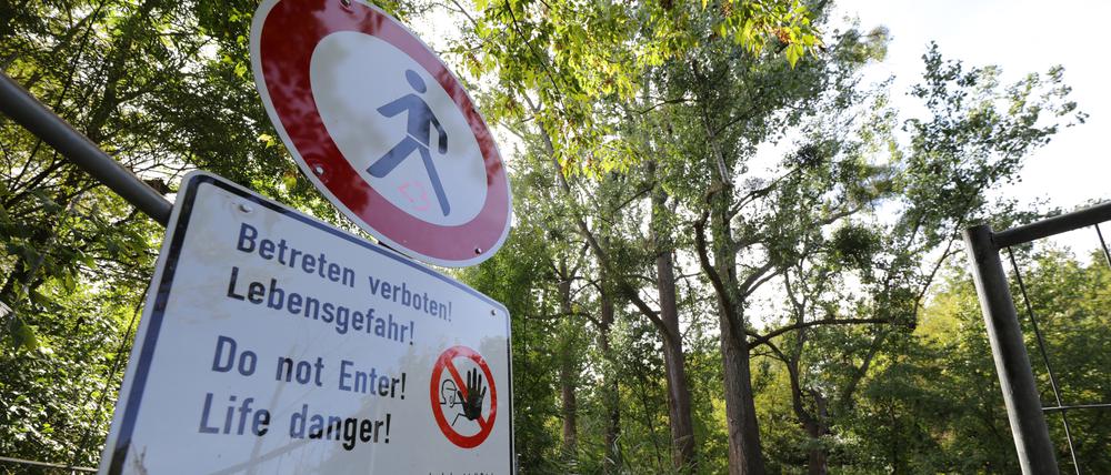 Seit 2109 ist der Uferweg an der Drewitzer Nuthe wegen des Zustands der dortigen Bäume gesperrt.