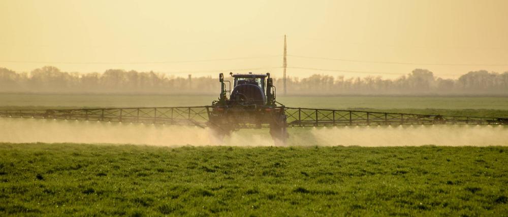 In der industriellen Landwirtschaft ist der Einsatz von Dünger und Pflanzenschutzmitteln bislang unverzichtbar.