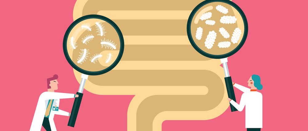 Das Mikrobiom des Menschen umfasst zwischen 30 und 40 Billionen Bakterien, die meisten davon leben im Darm. 