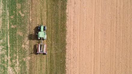 Ein Landwirt fährt mit einem Traktor neben einem abgeernteten Feld entlang. (Symbolbild)