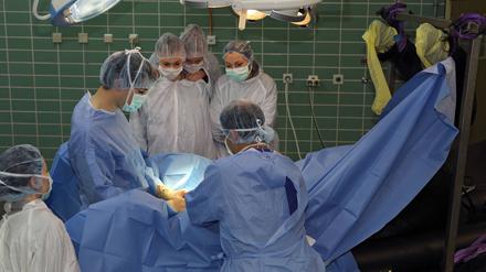 Eine Tier-OP in der Veterinärmedizin der FU. Der 24-Stunden-Notfallbetrieb in der Klein- und Heimtierklinik wurde 2022 geschlossen.