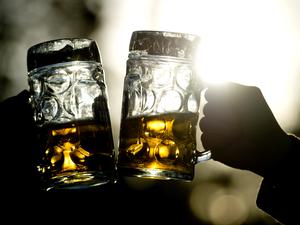 Frauen stoßen am 02.11.2014 in einem Biergarten in München (Bayern) mit zwei Bierkrügen an. 