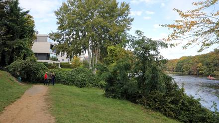 Kein Durchgang: Der Uferweg am Griebnitzsee endet vielerorts vor Hecken und Zäunen.
