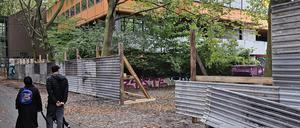 Diesterweg-Oberschule