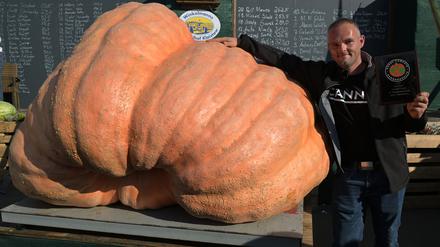 Oliver Grafe hat den 989,50 Kilogramm schweren Kürbis gezüchtet, mit der er die Wiegemeisterschaft in Klaistow gewinnt.