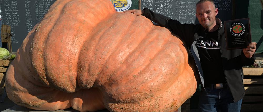 Oliver Grafe hat den 989,50 Kilogramm schweren Kürbis gezüchtet, mit der er die Wiegemeisterschaft in Klaistow gewinnt.