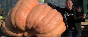 Oliver Grafe hat den 989,50 Kilogramm schweren Kürbis gezüchtet, mit der er die Wiegemeisterschaft in Klaistow gewinnt.