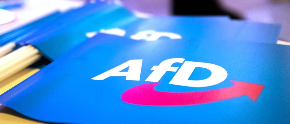 Fähnchen mit dem Logo der AfD.