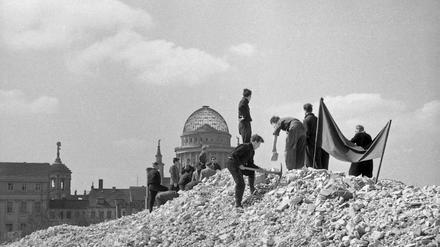 Potsdams Mitte war wie hier im späteren Zentrum Süd in den 1950er Jahren ein Steinbruch.