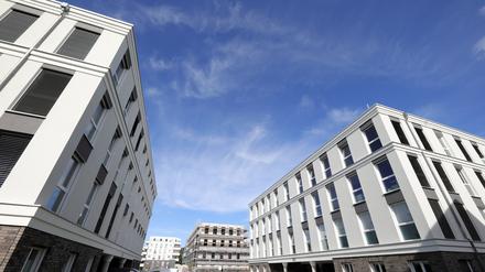 Das neue Gymnasium soll im Brunnenviertel entstehen - und wird gerade errichtet.