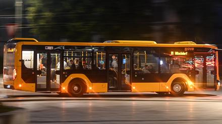 Ein Bus der Dresdner Verkehrsbetriebe (DVB) auf der Linie 81.