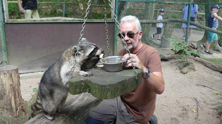 Tierparkleiter Peter Mancke besticht die Waschbären mit einer Extra-Portion Nascherei.