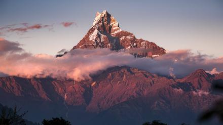 Alpenglühen am Anapurna. Die Berge sind ein Faszinosum. 