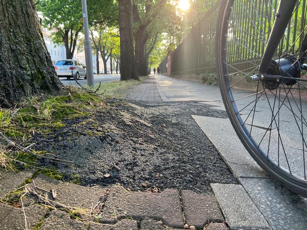 Sie Wollen Aus Einem Grundstück über Den Gehweg Gehweg in den Botanischen Garten, Radler auf die Nebenstraße: Leser