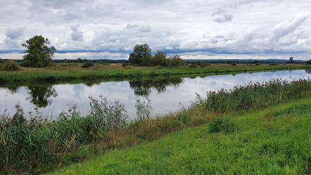Warthedeich bei Klopotowo.