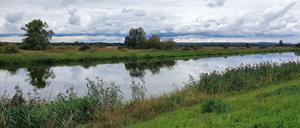 Warthedeich bei Klopotowo.