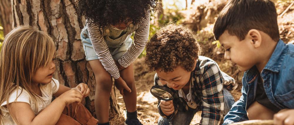 Kinder lernen in der Natur.