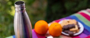 Die Thermoskanne hat sich zu einem Bestandteil in jedem gut ausgestatteten Haushalt etabliert.