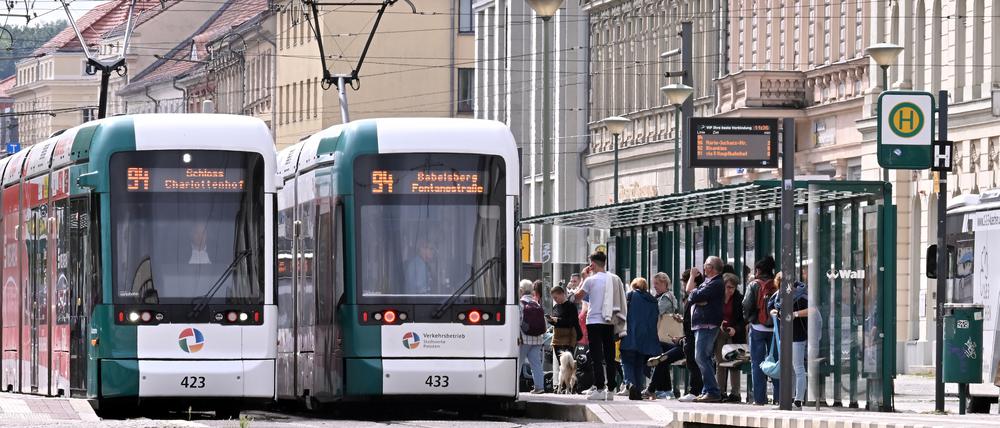 16.000 Personen nutzen das Deutschlandticket beim Verkehrsbetrieb Potsdam. 