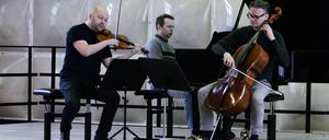 Mitglieder des Kammermusik-Ensembles Spectrum Concerts.