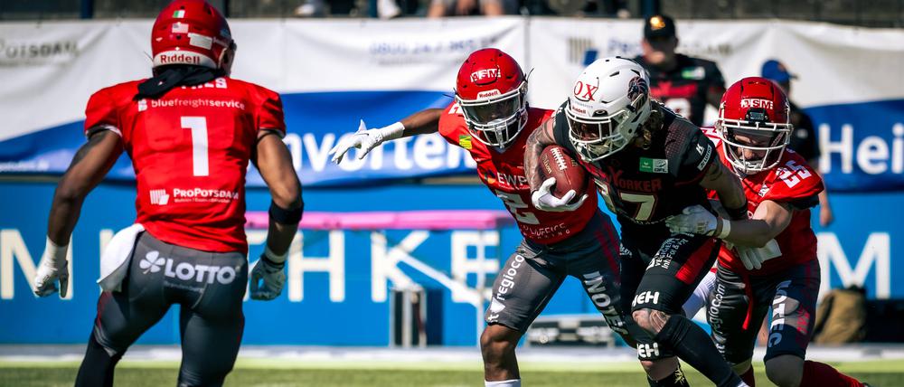 Die Potsdam Royals bei den diesjährigen Playoffs gegen einen Spieler (M.) der New Yorker Lions Braunschweig.