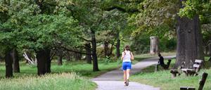 In Österreich wurde eine Joggerin tödlich von einem Hund verletzt.