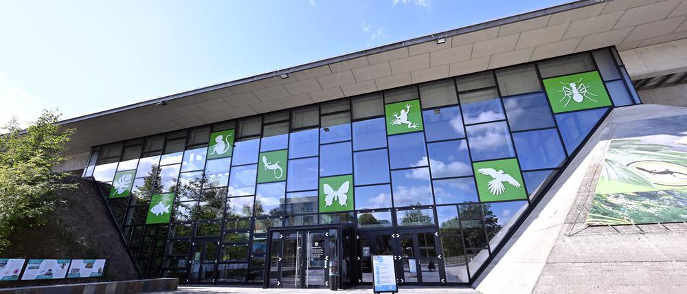 Die Tropenhalle Biosphäre.