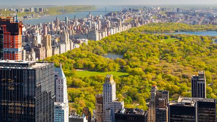 Um den Central Park in New York gab es nie einen Zaun. Das muss jetzt auch Berlins Regierender Bürgermeister zugeben.