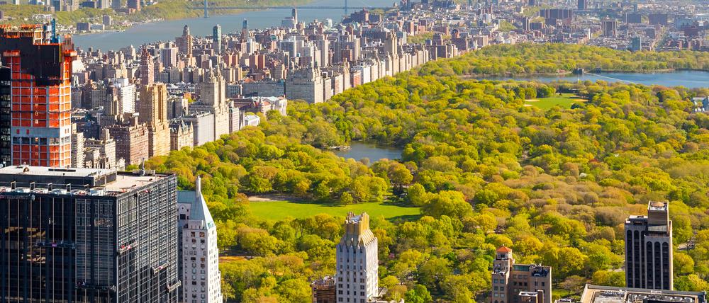 Um den Central Park in New York gab es nie einen Zaun. Das muss jetzt auch Berlins Regierender Bürgermeister zugeben.