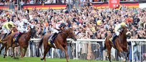 03.10.2023, Hoppegarten, Brandenburg.