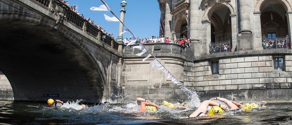 Teilnehmerinnen am «Berliner Flussbad Pokal» schwimmen in der Spree (Archivbild).