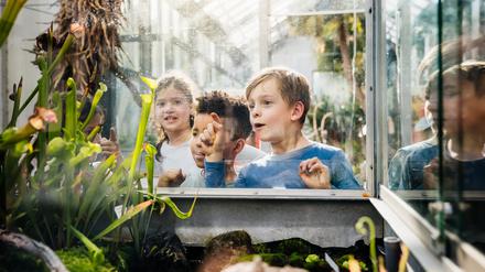 Mit Spaß dabei: Gute Schulen schaffen es, die Neugierde in Kindern am Leben zu erhalten.