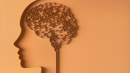Ein Forschungsteam hat mehr als eine halbe Million Zellen aus drei menschlichen Gehirnen analysiert, um einen Atlas zu erstellen.