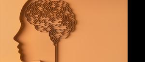 Ein Forschungsteam hat mehr als eine halbe Million Zellen aus drei menschlichen Gehirnen analysiert, um einen Atlas zu erstellen.