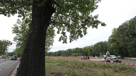 Die Bauarbeiten auf der Brache nahe des Jungfernsees hatten schon begonnen.