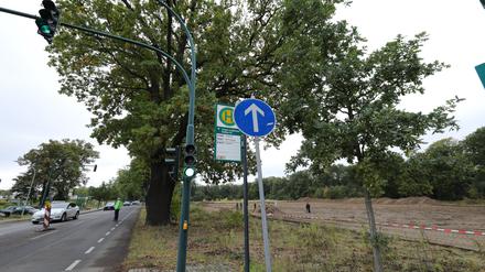 Auf dieser Brache nahe des Jungfernsees soll das Containerdorf errichtet werden. 