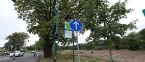 Diese Brache an der Nedlitzer Straße soll mit Flüchtlingsunterkünften bebaut werden.