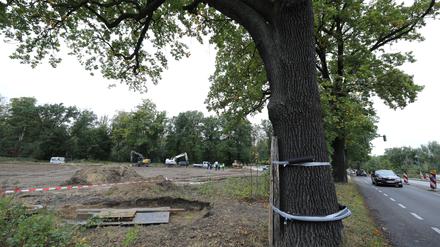 Diese Brache am Campus Jungfernsee soll mit Flüchtlingsunterkünften bebaut werden.