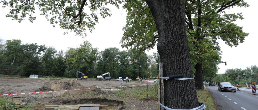 Diese Brache am Campus Jungfernsee soll mit Flüchtlingsunterkünften bebaut werden.
